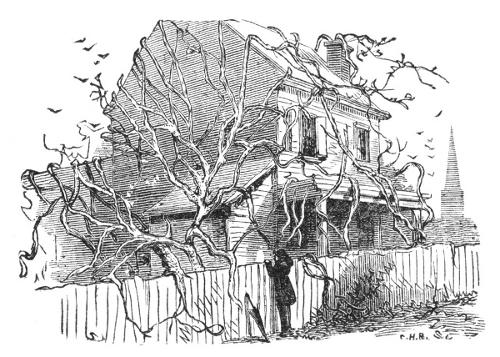 Illustration: