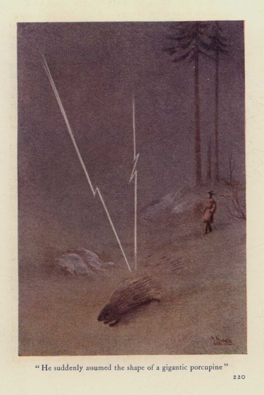 "He suddenly assumed the shape of a gigantic porcupine"