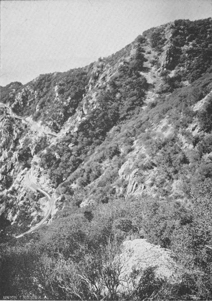 GLIMPSES OF MOUNT LOWE RAILWAY. Grand Circular Bridge at
Upper Right Hand Corner.