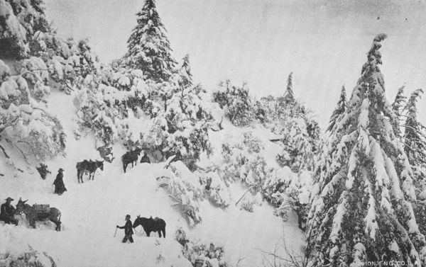 Winter Scene, Thirty Minutes from Perpetual Roses at
Echo Mountain House. Now Reached by Alpine Division, Mount Lowe
Railway.