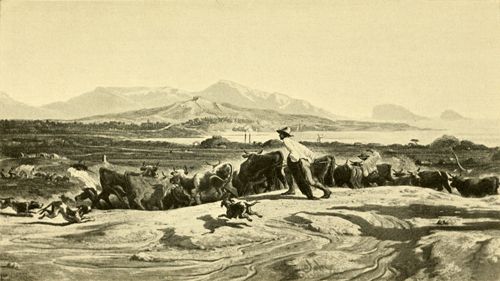 LES B&OElig;UFS SUR LA ROUTE D'AIX A MARSEILLE