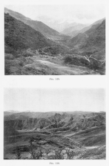 Fig. 129&mdash;Composition of slopes at Puquiura, Vilcabamba
Valley, elevation 9,000 feet (2,740 m.). The second prominent spur
entering the valley on the left has a flattish top unrelated to the rock
structure. Like the spurs on the right its blunt end and flat top
indicate an earlier erosion cycle at a lower elevation.