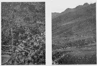 Fig. 30&mdash;Terraced hill slopes near Salamanca. There is no
part of the photograph which is not covered with terraces save a few
places where bushy growths are visible or where torrents descend through
artificial canals.