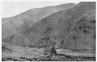 Fig. 46&mdash;Hacienda Huadquiña in the Salcantay Valley a
short distance above its junction with the Urubamba, elevation 8,000
feet (2,440 m.). The cultivated fields are all planted to sugar cane.
The mountain slopes are devoted to grazing.