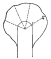 Fig. 196&mdash;Relation of cirque wall to trough’s end at the
head of a glaciated valley. The ratio of the inner to the outer radius
is 1:4.