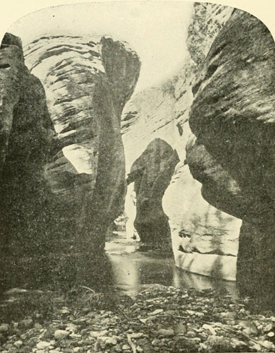 The Canyon of Brush
Creek&mdash;Looking Up.