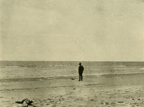 Gulf of Calfornia at
the Mouth of the Colorado.