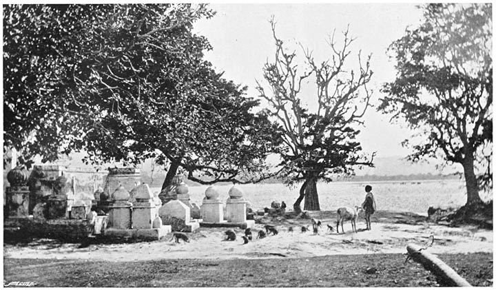 SAT&Icirc; SHRINES.