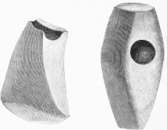 No. 56. No. 57.
No. 58. No. 59. No. 60. No. 61.
Stone Implements of the earliest Settlers (11 and 14 M.).
Nos. 56 and 57. An Axe and Hammer of Diorite. Nos. 58, 59, 60. Knives of
White Silex.
No. 61. Probably an Arrow-head.