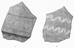 No. 79. Fragment of a brilliant dark-grey Vessel, from
the Lowest Stratum (15 M.). a Inside; b Outside.