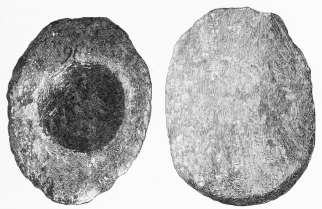 Nos. 102, 103. Hand Mill-stones of Lava from Lowest
Stratum (14-16 M.).
