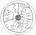 No. 172. A Whorl with rude Symbols of the Owl’s Face,
Suastika, and lightning (3 M.).