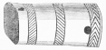 No. 180. A finely engraved Ivory Tube, probably part of a
Flute. Found on the Tower (8 M.).