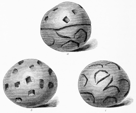 No. 300. Terra-cotta Ball (4 M.).

a. Side View. b. Upper Hemisphere. c. Lower Hemisphere, with the
Inscription.