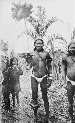GUAMARES INDIANS, OF THE HUITOTO TRIBE, IN DANCE COSTUME.

To face p. 162.