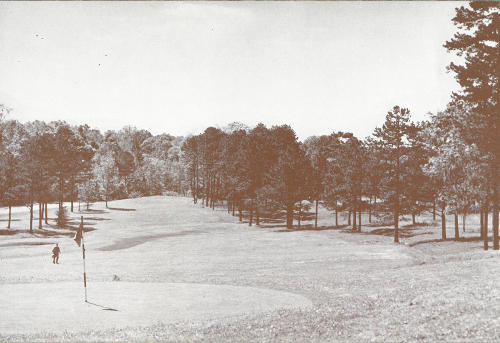 Nestled &rsquo;midst hundreds of pines, hickories, sweetgum and oak trees, Florida Caverns golf course is one of the most scenic in the United States. It was laid out after the design of the famous St. Andrews Golf Course of Scotland.