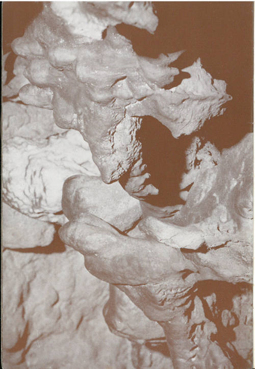 This form is the result of the irregular etching of the limestone by ground water at the time the caves were formed, combined with the later development of stalagmites and a pavement of calcite &ldquo;drip-stone&rdquo; upon the irregular surface. Dust and small debris have been incorporated in the crystals of calcite which form the stalagmites. Visitors like to make a game of finding formations in the cave that resemble animals and other things. Note the wolf head to the right and the Dachshund head to the left center of the photograph.