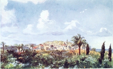 JAFFA

The upper part of the town is seen over the tops of orange orchards.
Time, morning.