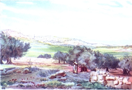BETHLEHEM FROM THE SHEEPFOLD, FIELD OF BOAZ

The town is shown on a hill. The Convent of the Nativity stands to the
extreme left. Field of Boaz with green wheat in middle distance,
enclosure of sheepfold in foreground.