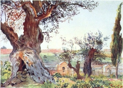 IN THE GARDEN OF GETHSEMANE. NOONDAY. LOOKING TOWARDS
VALLEY OF JEHOSHAPHAT

Part of the Garden in foreground under old olive-trees and cypresses.
Stations of the Cross along path inside boundary wall. Walls of
Jerusalem and top of Mosque of Omar in background. Time, early
afternoon.