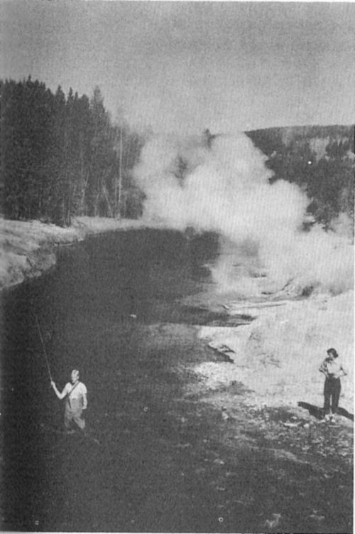 Yellowstone&mdash;a fisherman&rsquo;s paradise