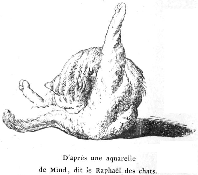 D'après une aquarelle
de Mind, dit le Raphaël des chats.