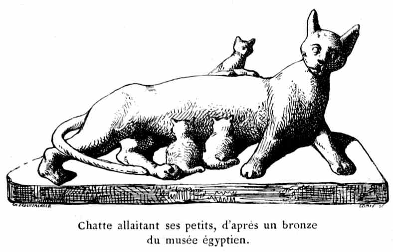 Chatte allaitant ses petits, d'après un bronze
du musée égyptien.