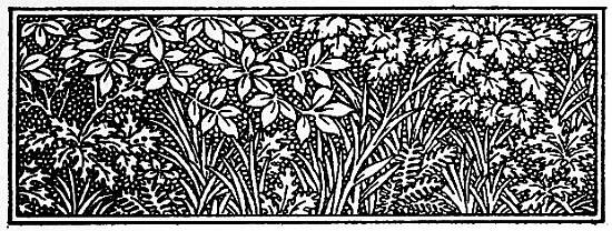 chapter II, title decoration