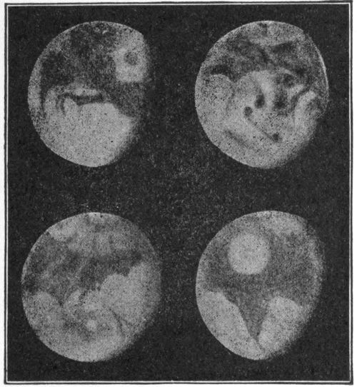 Fig. 12.&mdash;Four views of Mars differing 90&deg; in longitude (Barnard).