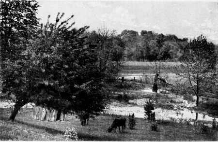 Overlooking the island which the Howells family
cultivated