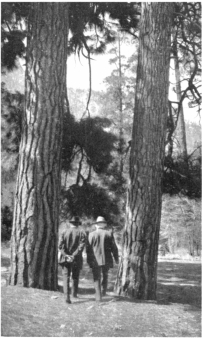 Photo by F. P. Clatworthy

John Muir and John Burroughs in the Yosemite Valley