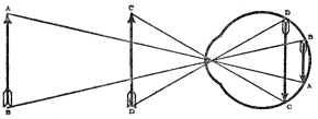 DIAGRAM SHOWING HOW DISTANCE AFFECTS THE SIZE OF THE
IMAGE