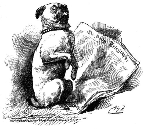 &lsquo;THE PUG-DOG SAT UP&rsquo;