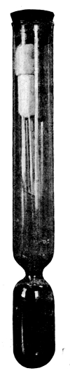 Buchner's
Tube