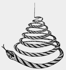 coiled
snake