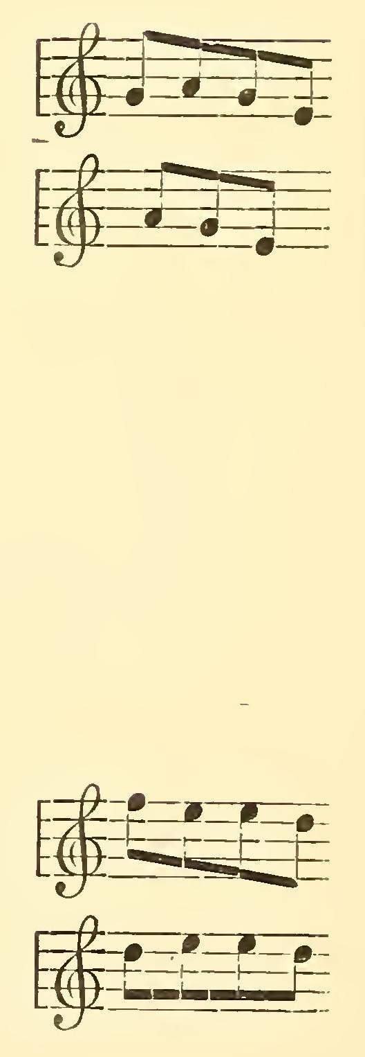 8081 