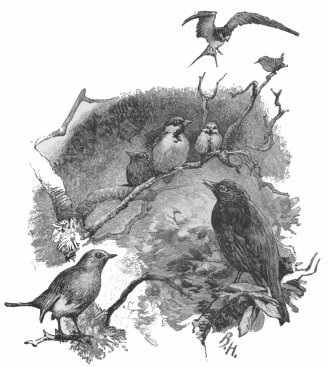 And the Blackbird began his oration.&mdash;P. 117.