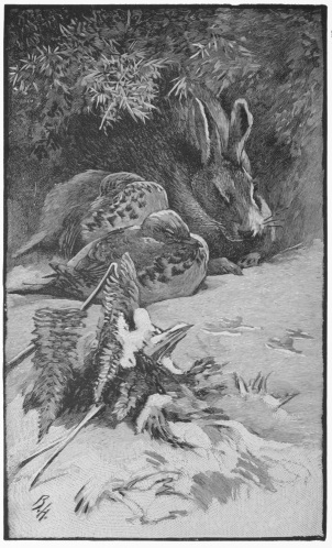 Thus they passed the night, tolerably warm and
comfortable, and even sleeping.&mdash;P. 19.