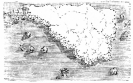 Image not available: Group and single specimens of plants isolated on the
grass.