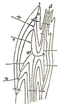Fig 22