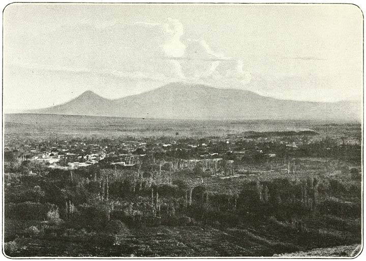 Fig. 42. Erivan and Ararat from the North.