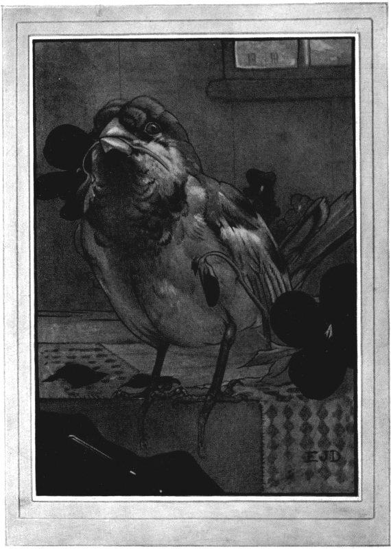 &ldquo;MONSIEUR FRIQUET&rdquo;