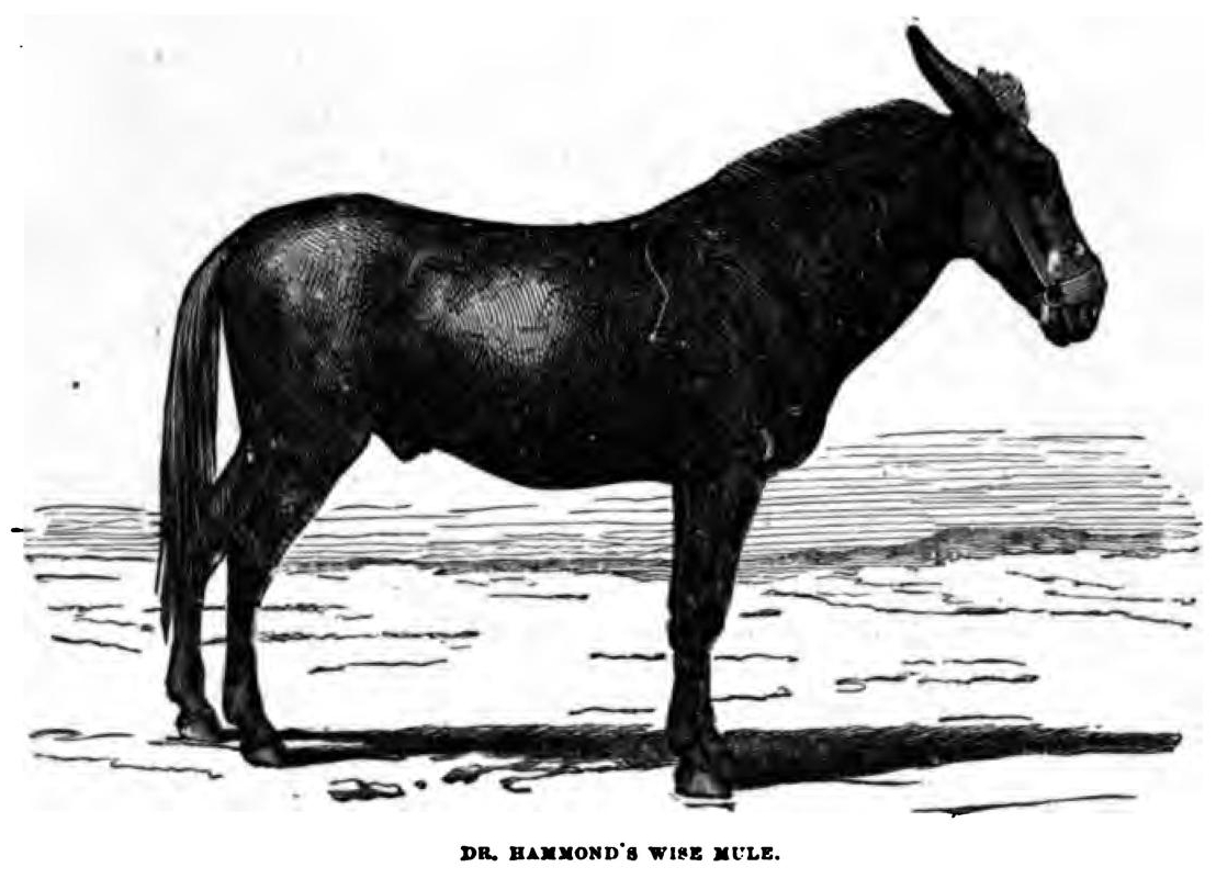 0053 