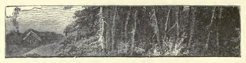 0090 