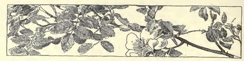 0102 