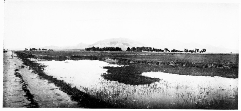 Fig. 231.&mdash;MOUNT ARGAEUS FROM NORTH-WEST.