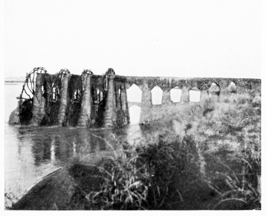 Fig. 49.&mdash;NAOURA OF ’AJMÎYEH.