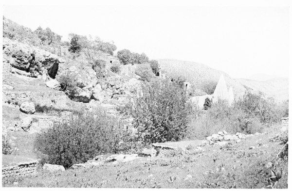 Fig. 179.&mdash;SHEIKH ’ADÎ.