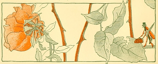 page deco