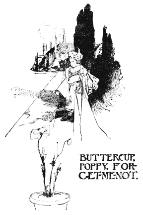 Image unavailable: BUTTERCUP,
POPPY, FORGET-ME-NOT.